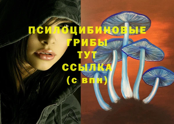 гашишное масло Абаза