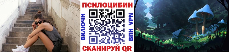 Псилоцибиновые грибы мицелий  Агрыз 